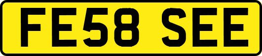 FE58SEE