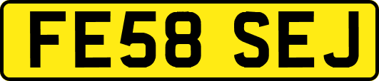 FE58SEJ