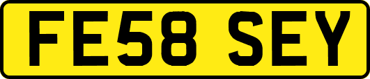 FE58SEY