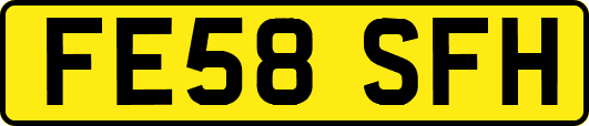 FE58SFH