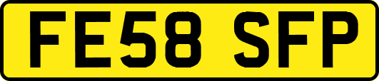 FE58SFP