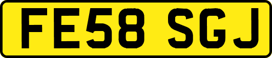 FE58SGJ
