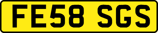 FE58SGS