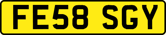 FE58SGY
