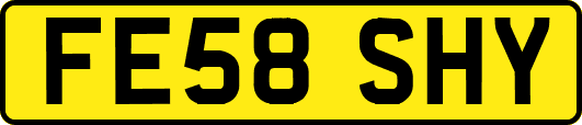 FE58SHY