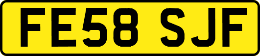 FE58SJF