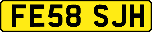 FE58SJH