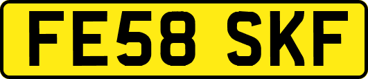 FE58SKF