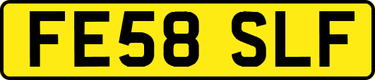 FE58SLF