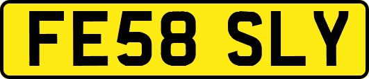 FE58SLY