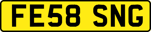 FE58SNG
