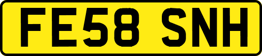 FE58SNH