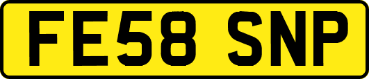 FE58SNP