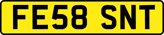 FE58SNT