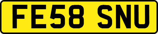 FE58SNU