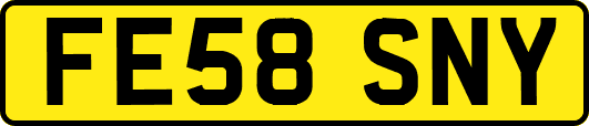 FE58SNY