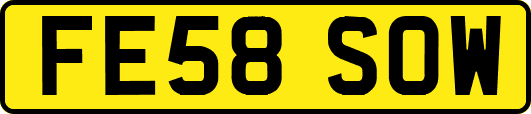 FE58SOW