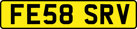 FE58SRV