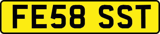 FE58SST