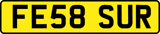 FE58SUR