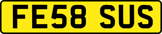 FE58SUS