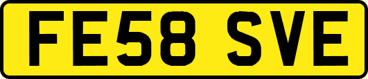 FE58SVE