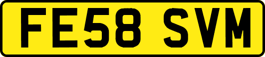 FE58SVM