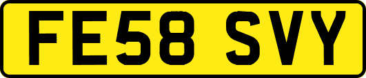 FE58SVY