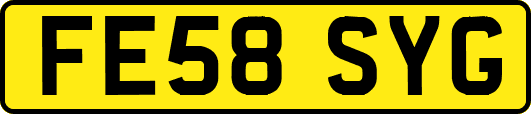 FE58SYG