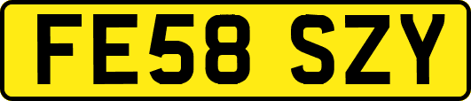 FE58SZY