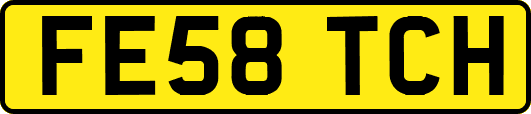 FE58TCH