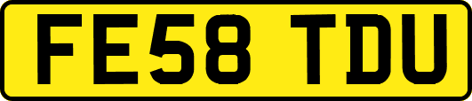 FE58TDU