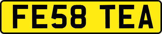 FE58TEA
