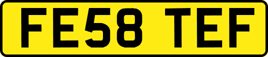 FE58TEF