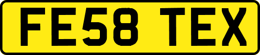 FE58TEX