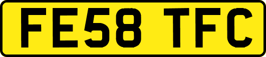 FE58TFC