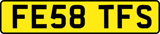 FE58TFS