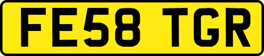 FE58TGR