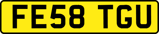 FE58TGU