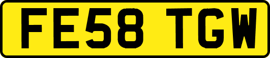 FE58TGW