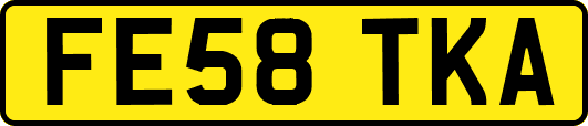 FE58TKA