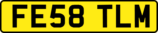 FE58TLM