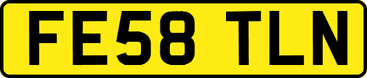 FE58TLN