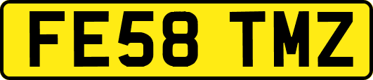 FE58TMZ