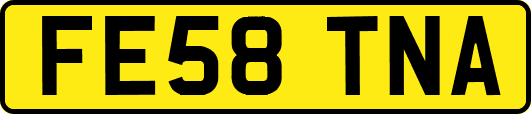 FE58TNA