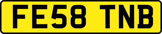 FE58TNB