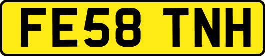 FE58TNH