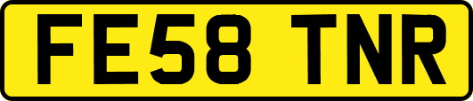 FE58TNR