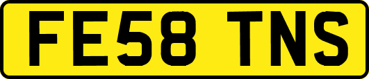 FE58TNS