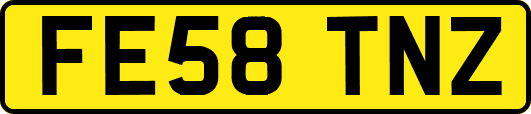 FE58TNZ